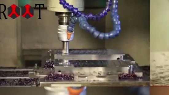 Customized Auto Fuel Rail Plastic Injection Molding with Automotive Mold 