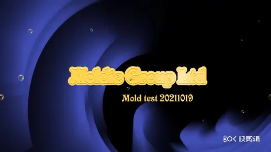 Customized/Designing Auto/Medical/Toy/Household/Electric Plastic Injection Mould 