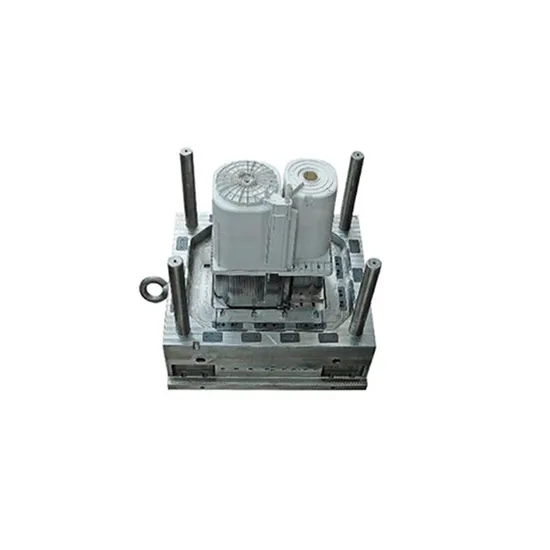 Ruijp Double Bucket Electric Injection Washing Machine Mould with Dry Dehydration Cylinder 