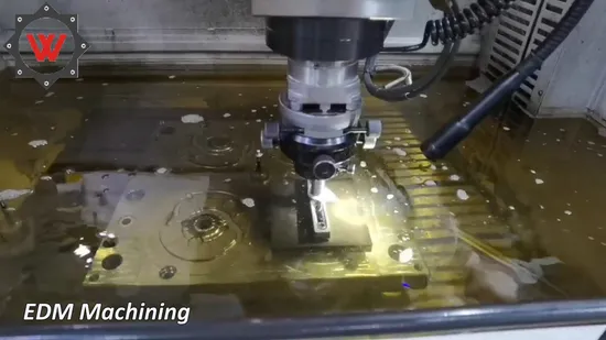 Custom Prototype Production for Plastic Components Injection Mold Medical Plastic Thread Molding 